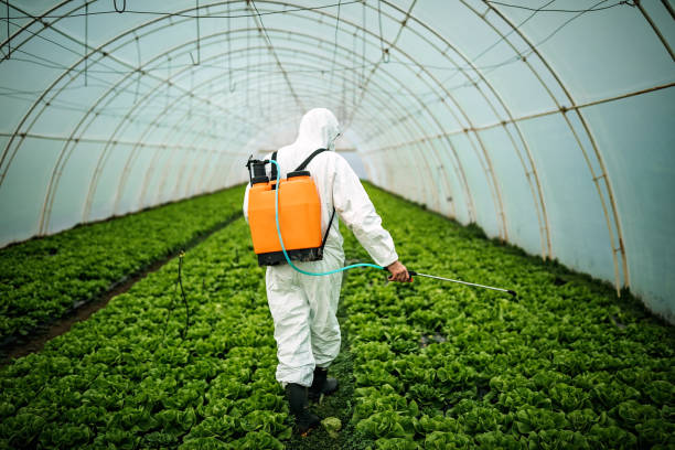 Best Mosquito Control Services  in Gaylord, MN