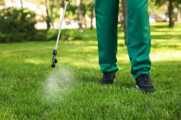 Trusted Gaylord, MN Pest Control Experts