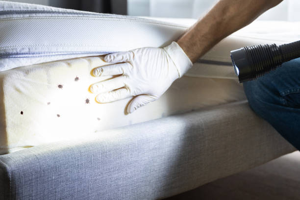 Best Commercial Pest Control Services  in Gaylord, MN