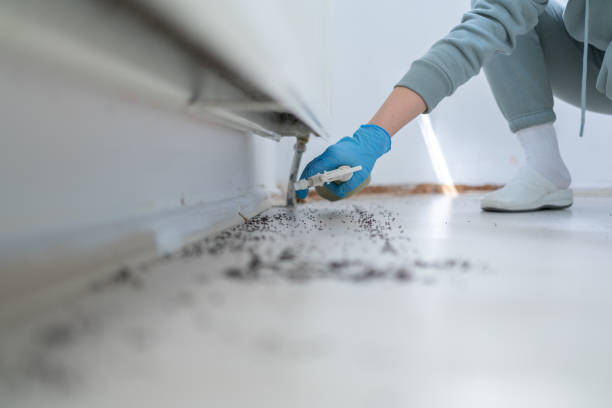 Best Emergency Pest Control  in Gaylord, MN