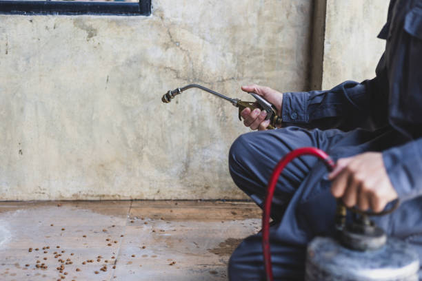 Best Mosquito Control Services  in Gaylord, MN