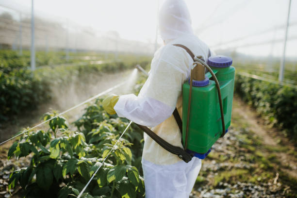 Best Wasp Removal Services  in Gaylord, MN